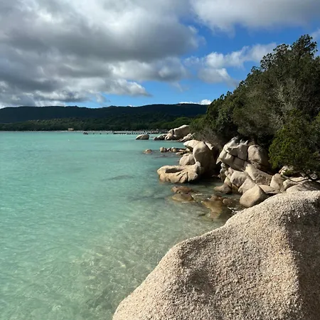 Dell Edera Lägenhet